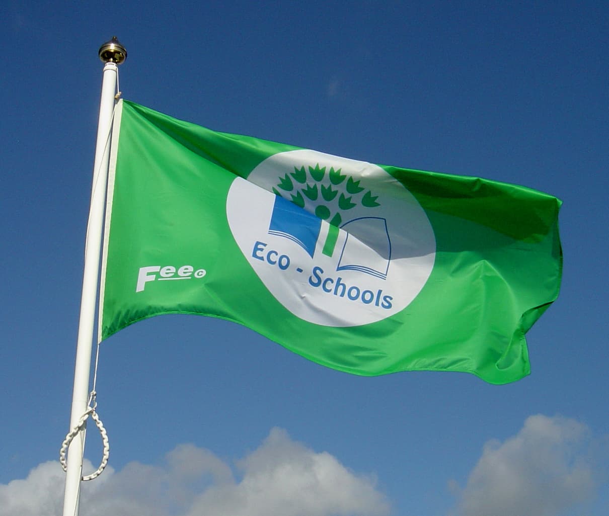 דגלים ירוקים: EnviroFlag™ מבקבוקי PET ממוחזרים
